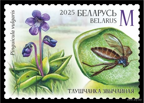 2025г Беларусь MNH  "Хищные растения"