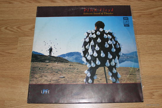 Pink Floyd - Delicate Sound Of Thunder -2LP