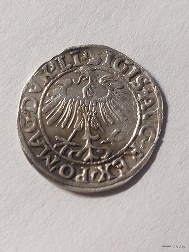 Полугрош 1557 ВКЛ