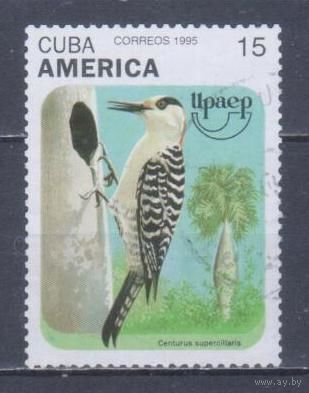 [806] Куба 1995. Фауна.Птицы.Дятел. Гашеная марка.