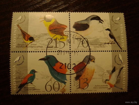 Словения 1995г. Птицы квартблок