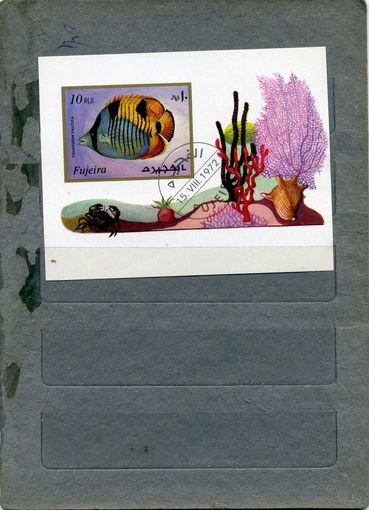 ФУЖЕЙРА, 1972,   РЫБЫ,   почт. блок      гашен