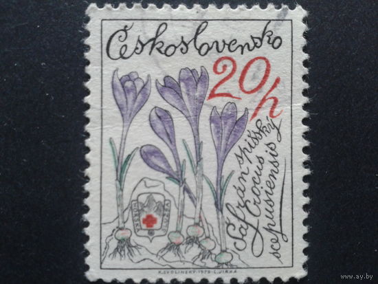 Чехословакия 1979 крокусы