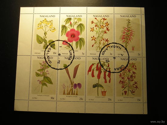 Нагаланд 1972, Флора
