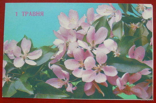 1 травня! Чистая. Двойная. 1988 года. Костенко. 598.