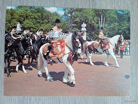 Этнография. Барабанные кони, Лондон