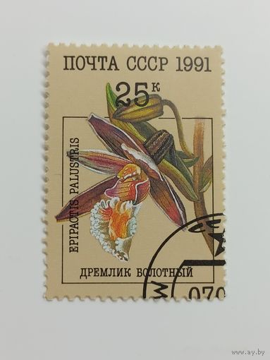 1991 СССР. Орхидеи. Дремлик болотный