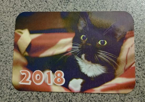Календарик карманный 2018 чёрно-белый кот