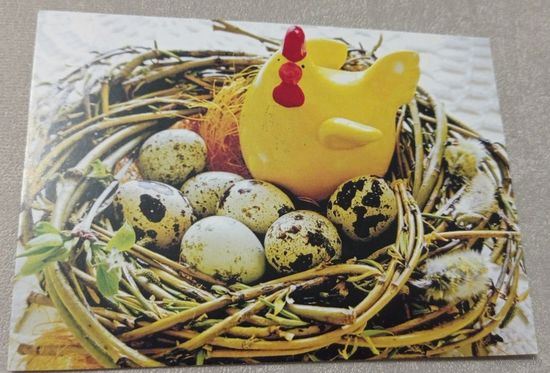 Посткроссинг. Открытка Курочка в гнёздышке, фото Оксана Лемешевская (10х15). Прошла почту. Художественные марки, чёткий штемпель.