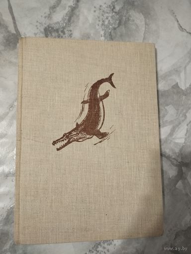 Ящеры древних морей. Артия