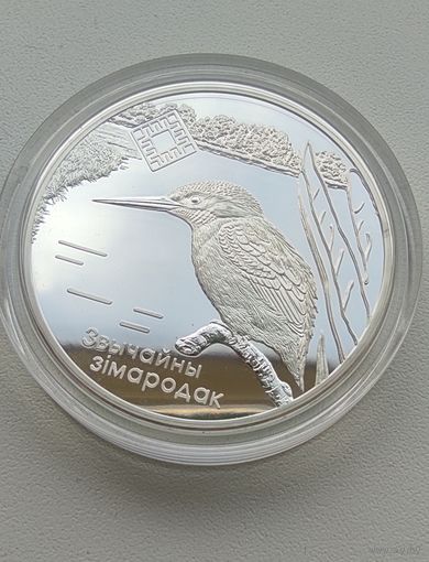Заказник. "Липичанская пуща". Зимородок. Серебро 20 рублей 2008