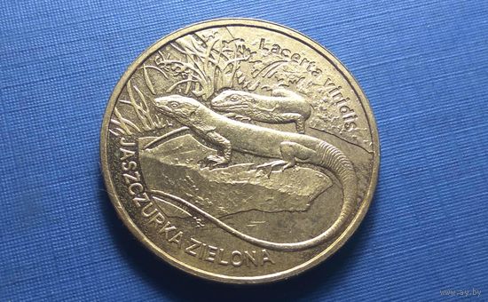 2 злотых 2009. Польша. Ящерица.