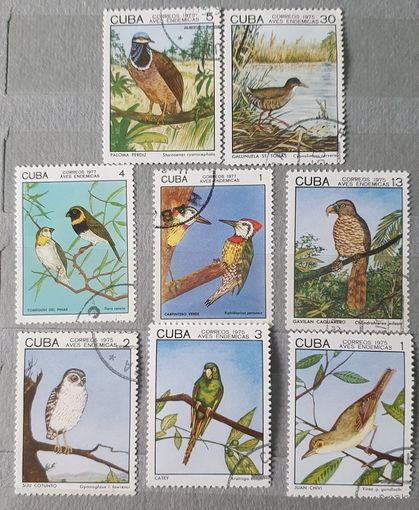 Куба птицы 8шт