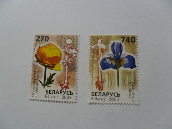 Беларусь, флора
