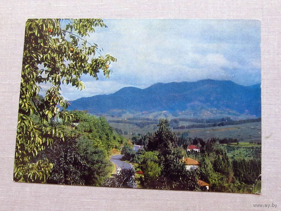 С018-5621 Открытка Сухуми Фото Шворак 1969 Подписана