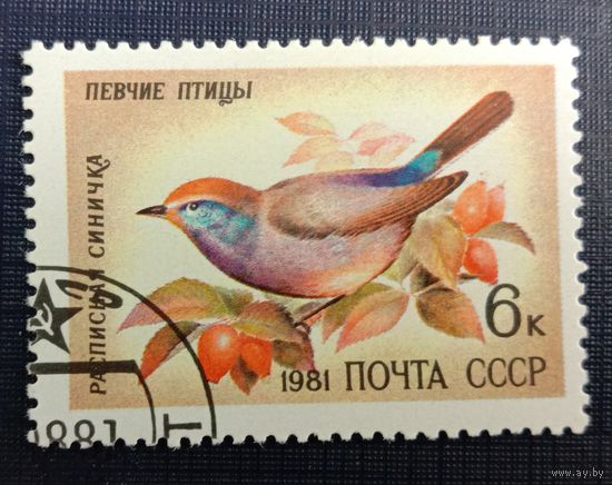 Марка СССР 1981 Певчие птицы