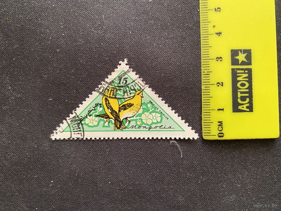 Птица. 80