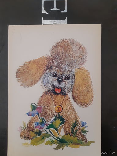 Манилова Щенок пуделя