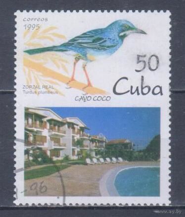 [806] Куба 1995. Фауна.Птицы.50с. Гашеная марка.