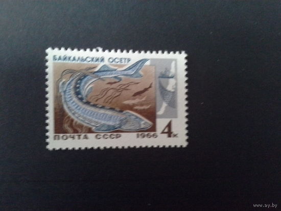 Ссср 1966. Осётр.