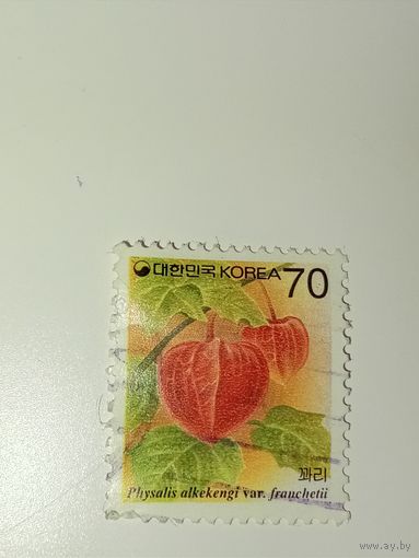 Корея 1995 год Физалис Франше