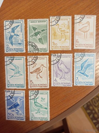 1991 Румыния фауна птицы полная серия (4-12)