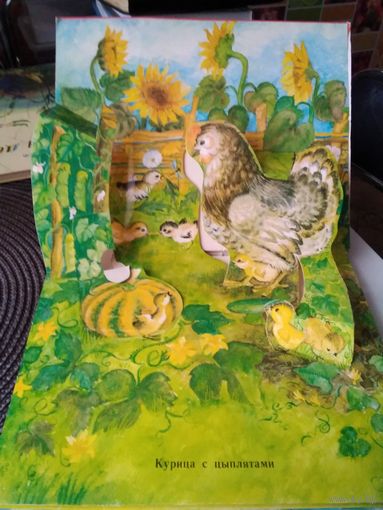 Кто это? Книжка -панорама. /70