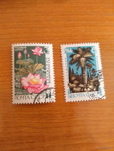 1966 СССР  флора цветы MNH**(сф-9)
