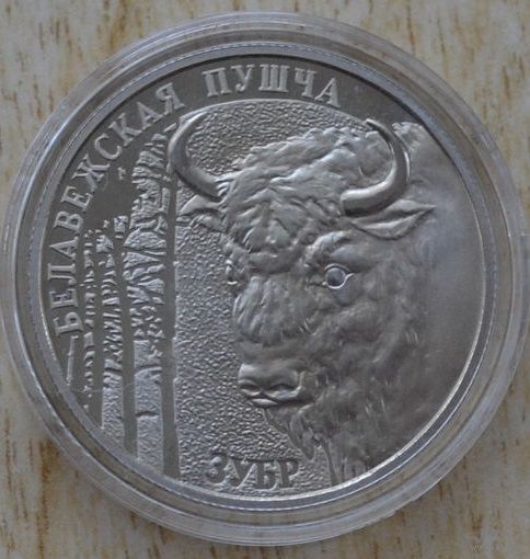 1 рубль 2001 Белавежская пуща. Зубр.