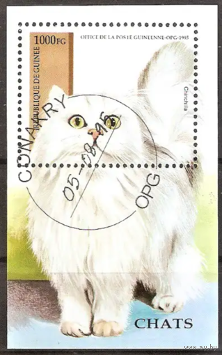 Гвинея 1995. Фауна. Кошки. блок
