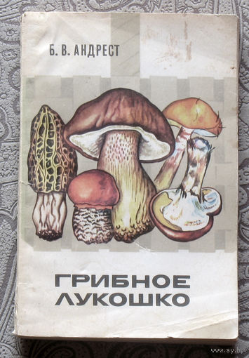 Б.В.Андрест Грибное лукошко