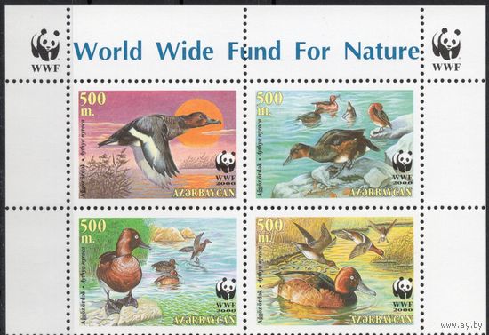 Азербайджан 2000. Фауна WWF. Птицы, утки. Верхняя сцепка 4 марки (130)
