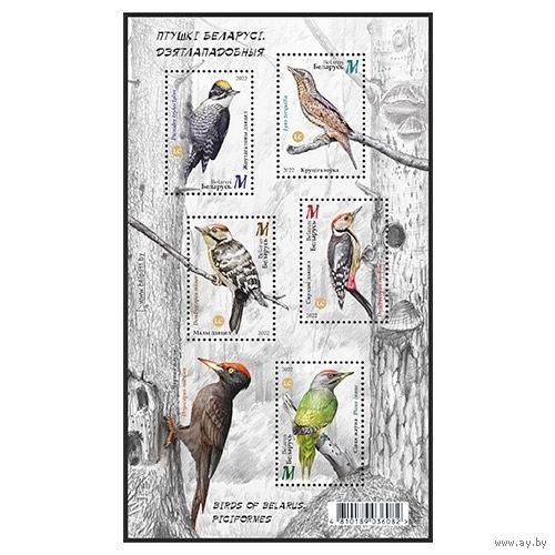 2022 БЕЛАРУСЬ  Малый лист "Птицы Беларуси. Дятлообразные" MNH