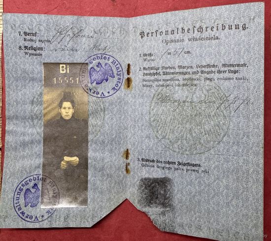 Паспорт 1917г.