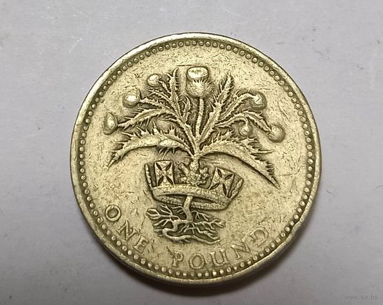 1 фунт. Великобритания. 1989 год