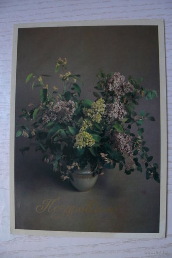 Сайфи Ч., Поздравляю! 1982, подписана.