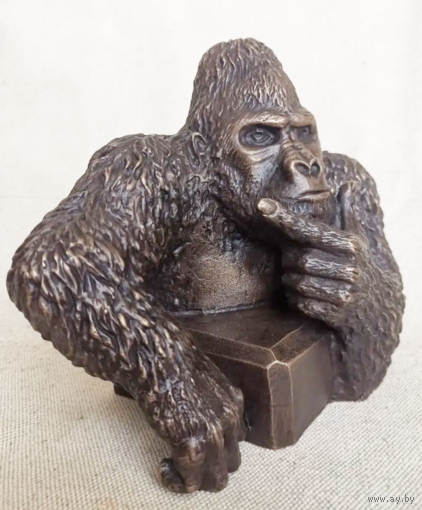 Наш предок ... или потомок