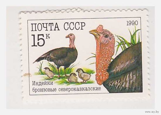СССР 1990 Индейки бронзовые северокавказские