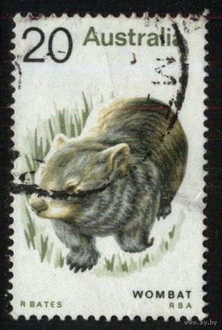 Австралия - 1974 [Mi. 542] Гашеная (AU14)