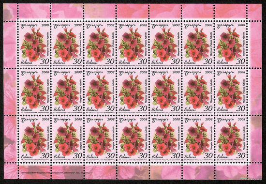 Беларусь. 2008. Стандарт.  Петуния (30р) (з.15-2011) Лист