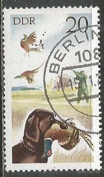 ГДР. Охота на фазанов. 1977г. Mi#2272..