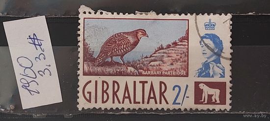 РАСПРОДАЖА. ГИБРАЛТАР 1960г. Гаш.