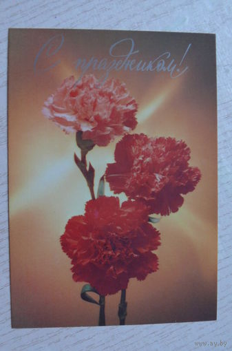 Стейнерт Т., С праздником! 1986, чистая.
