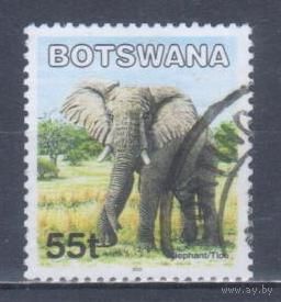 [2297] Ботсвана 2002. Фауна.Африканский слон. Гашеная марка.