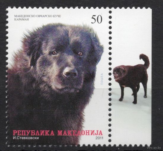 Македония 2011.Фауна. Собака 1 марка (585)