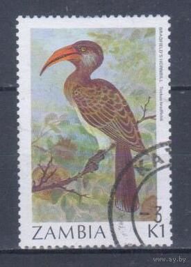 [771] Замбия 1987. Фауна.Птица-носорог. Гашеная марка.