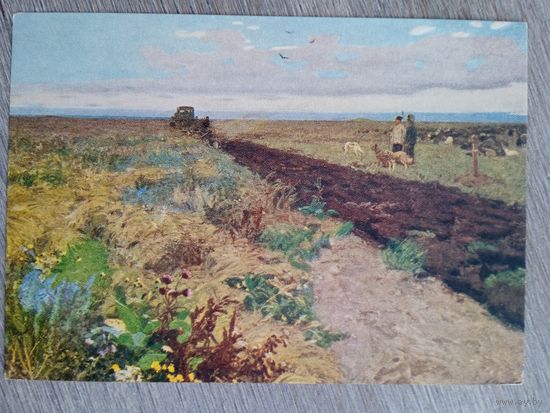 1955. Нечитайло. Первая борозда