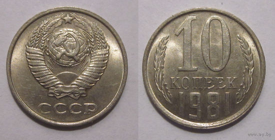 10 копеек 1981 aUNC