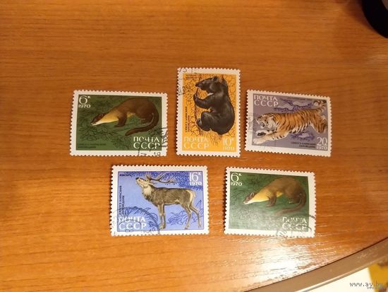 1970 СССР загорский 3836-3840 полная серия фауна гашеная MNH** (с-11)