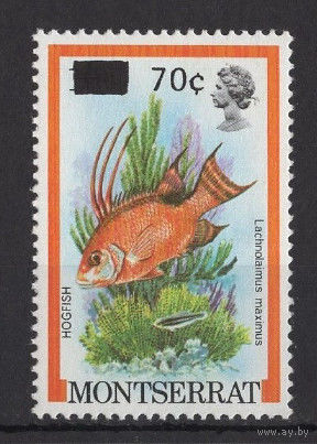 Монтсеррат 1983** Морская фауна Рыбы